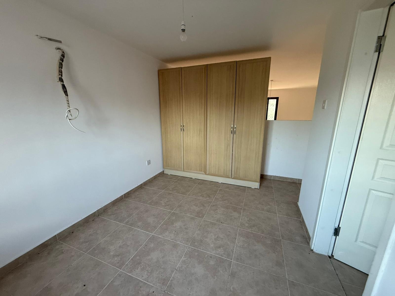 WhatsApp Image 2026-02-12 at 11.10.32 PM (1)