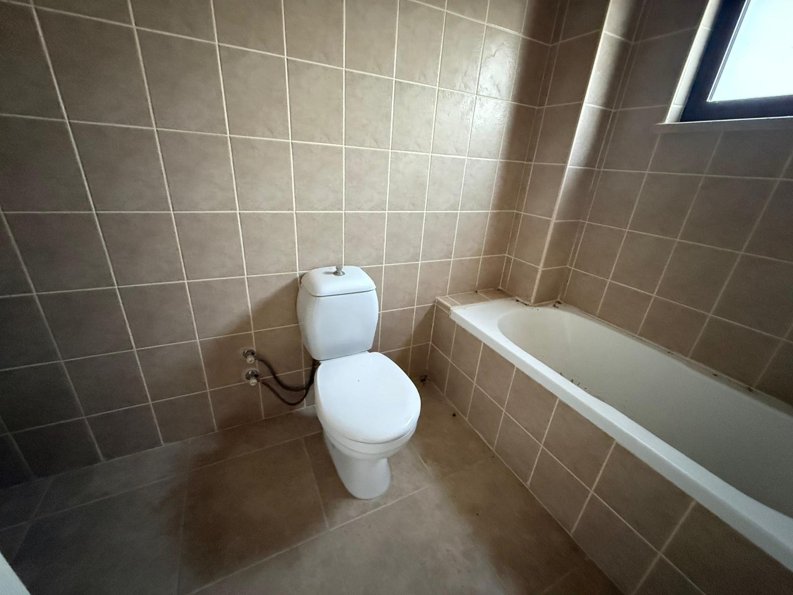 WhatsApp Image 2026-02-12 at 11.10.32 PM