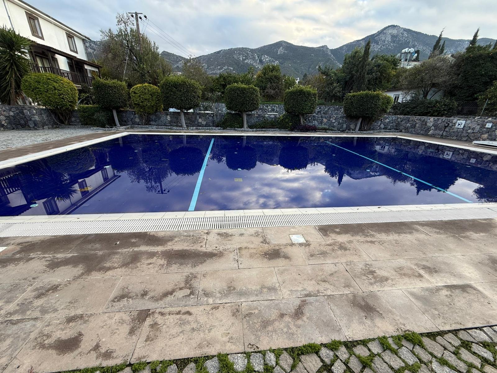 WhatsApp Image 2026-02-12 at 11.10.33 PM (2)